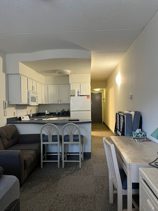 Interior Photo - 407 College Ave — Collegetown’s Best-Kept Secret