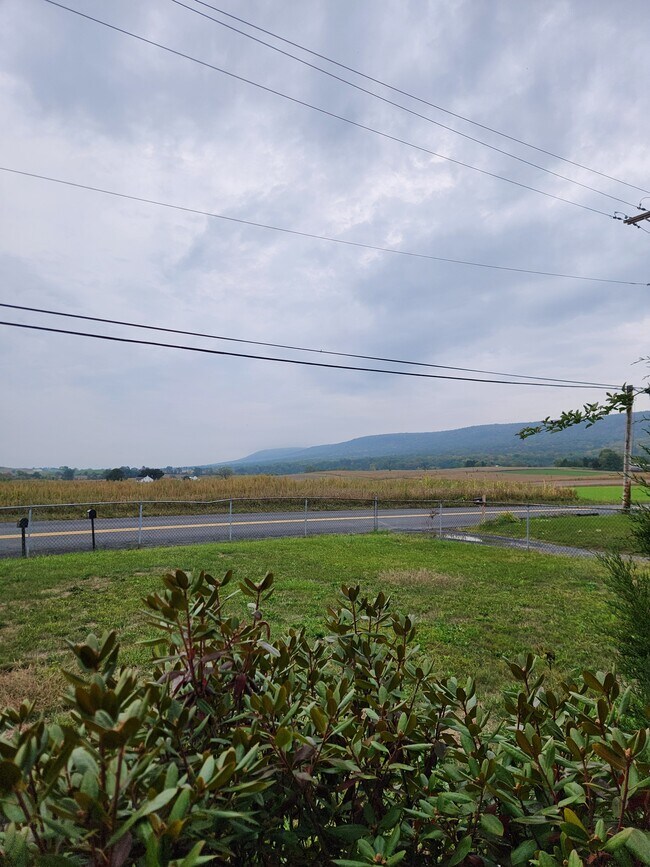Foto del edificio - 1808 Mountain Rd