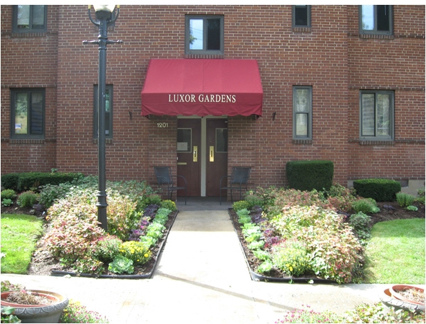 Primary Photo - Luxor Gardens Apartments