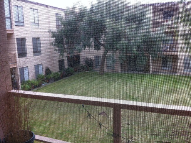 courtyard - 6 Admiral Dr
