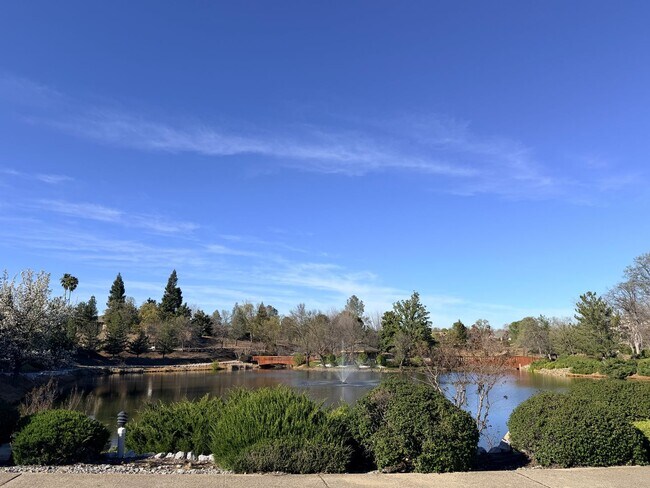 Foto del edificio - Beautiful Lakefront Home in the Vineyard! 55+ community