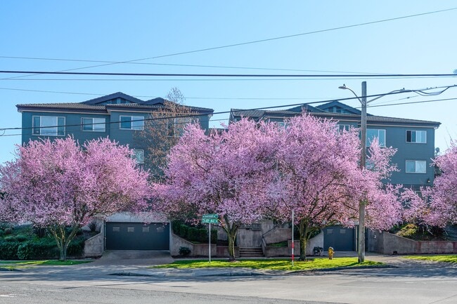 Building Photo - The Magnolia