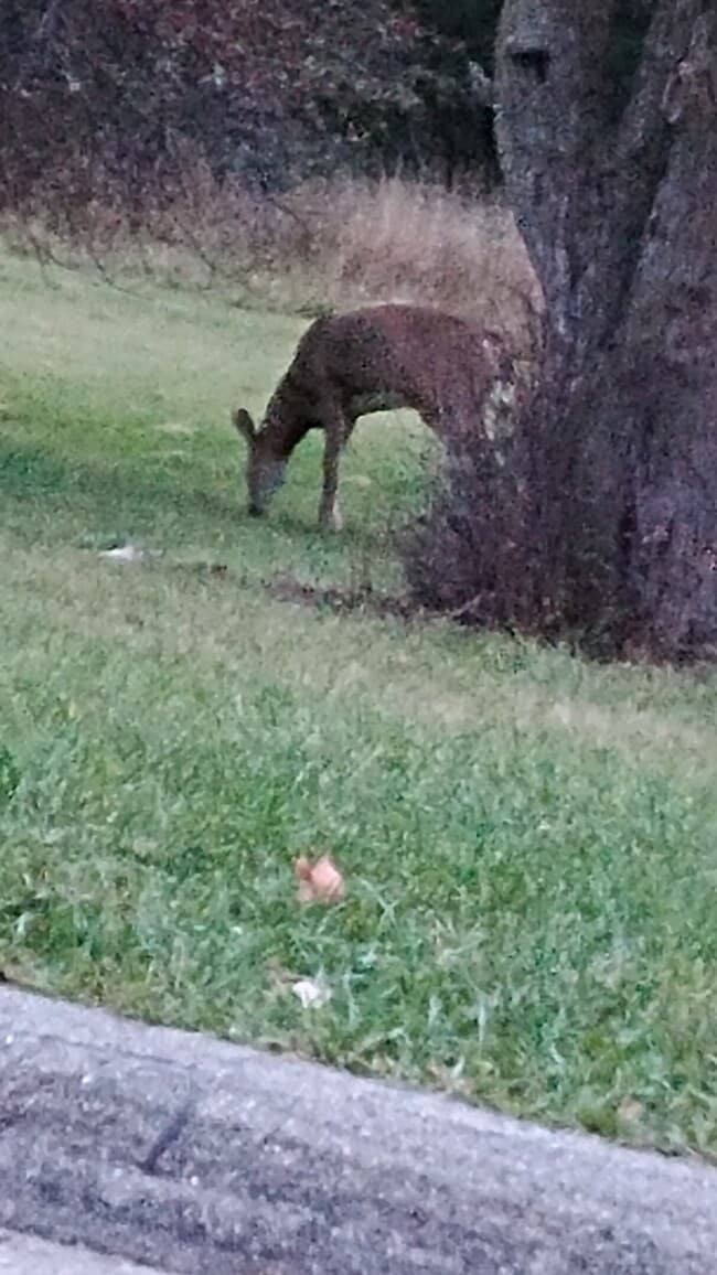 Building Photo - 3414 S 92nd St