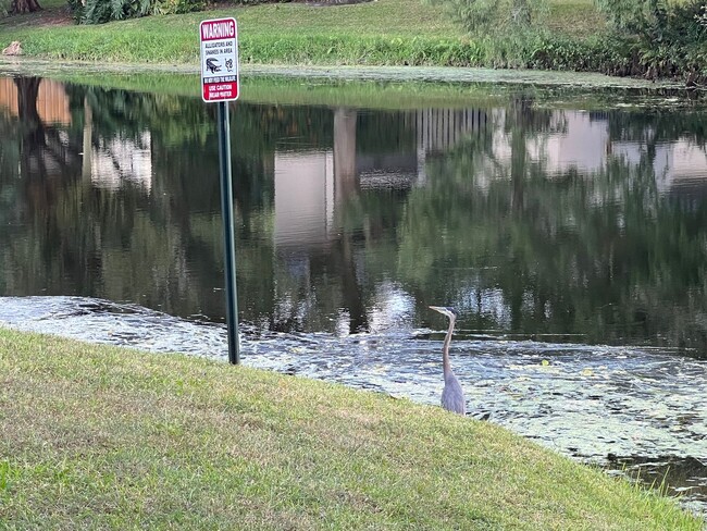 Building Photo - Excellent Condo in Coconut Creek