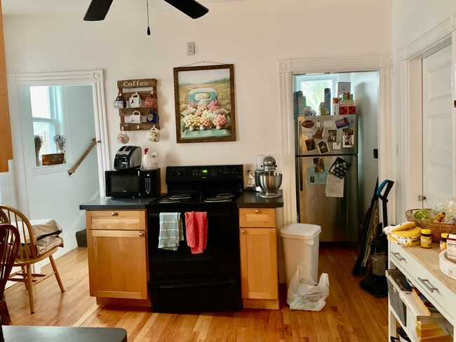 Photo - 16 Falkland St Apartment