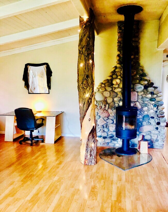 Scandinavian Morso wood stove - 1209 Ashland Mine Rd