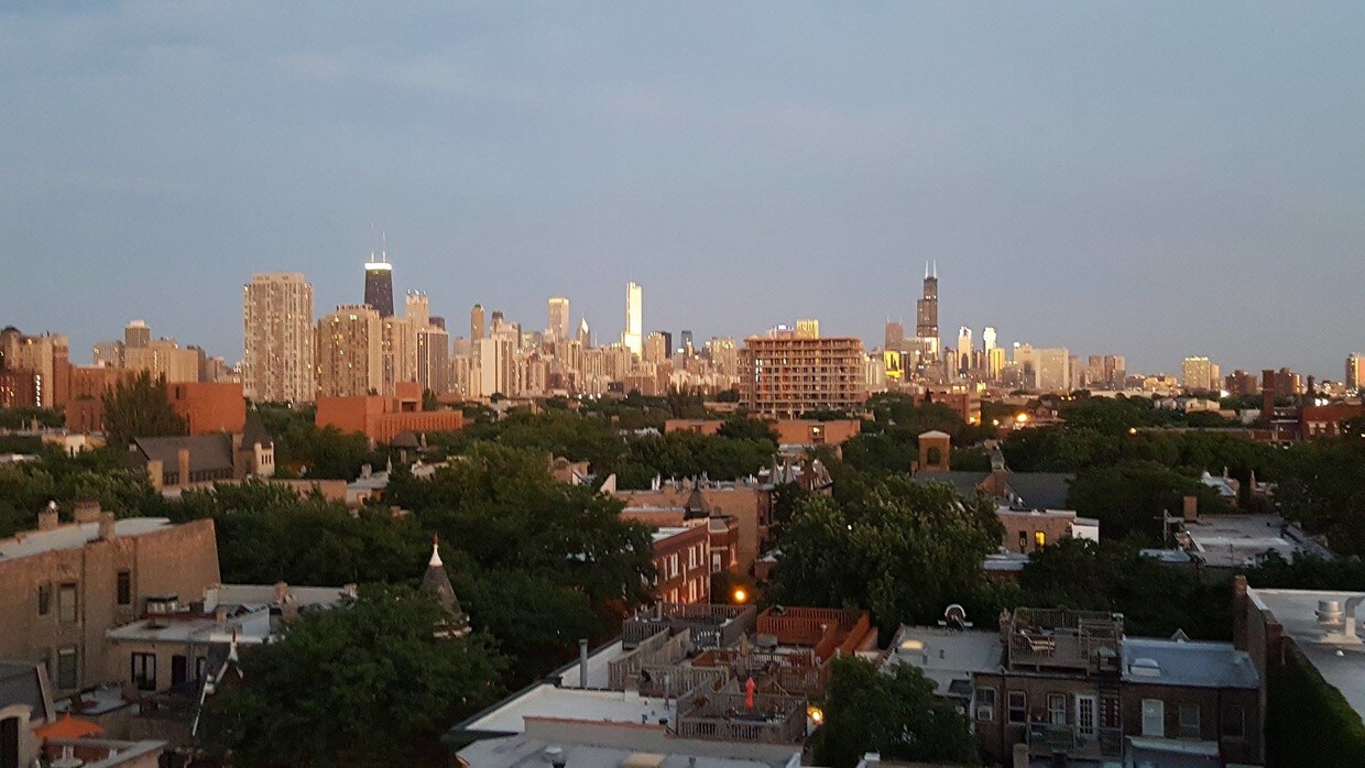 View from rooftop patio - 601 W Deming Pl