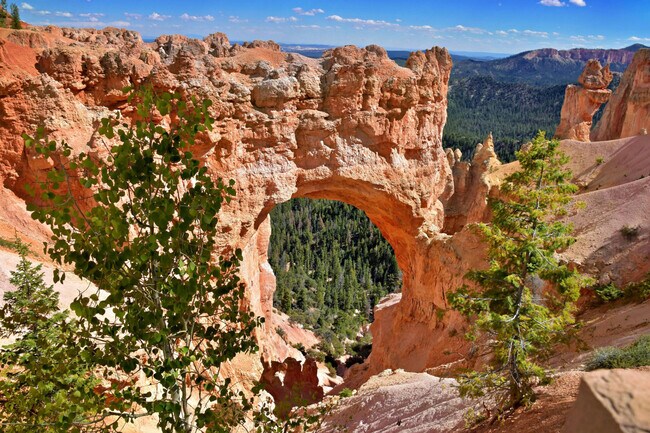 Foto del edificio - 220 Circle Dr