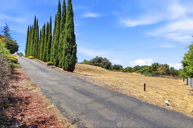 Building Photo - Million Dollar Views! Available Now!