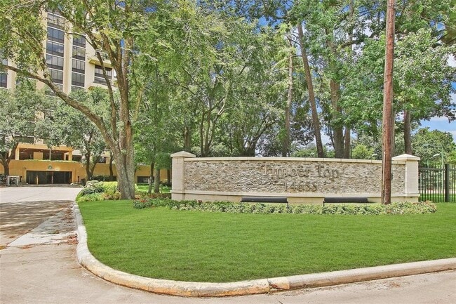 Building Photo - 14655 Champion Forest Dr Dr