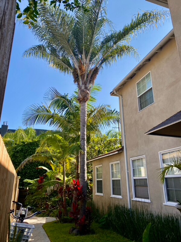 Foto del edificio - 11647 Ayres Ave