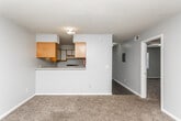 Located at 421 Opelika Rd in Auburn, Alabama, this single-floor unit offers a practical and straightforward layout well-suited for everyday living. The living area is carpeted and benefits from a pass-through opening to the kitchen, which is equipped with wood-trimmed cabinetry, a double-basin stainless steel sink, ample counter space, and under-cabinet lighting that brightens the work area. A wall-mounted cabinet near the pass-through adds additional storage convenience.

The bedrooms are carpeted and finished with neutral gray walls and textured ceilings. One bedroom features access to a walk-in closet, providing generous storage, while another bedroom is served by a standard closet and receives natural light through a window with blinds. The rooms offer a clean, move-in-ready feel with simple, functional finishes throughout.

The bathroom is equipped with a single-sink vanity featuring wood-accented cabinetry, a large mirror, and a full-size tub and shower combo with chrome fixtures. The bathroom flooring is hardwood, contrasting with the carpeted areas elsewhere in the unit. Overall, the space presents a straightforward, functional design with consistent finishes and practical amenities throughout.