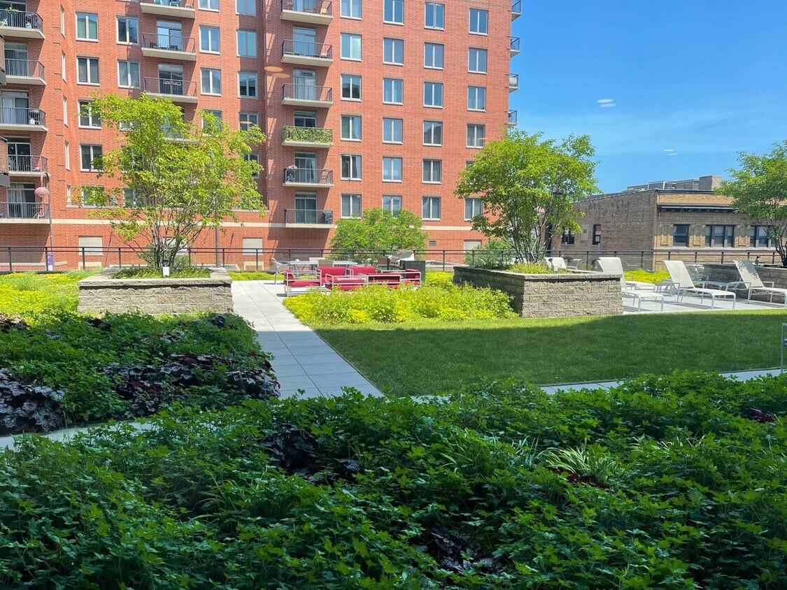 847 Chicago Ave Unit 907, Evanston, IL 60202 Condo for Rent in