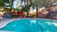 Located at 859 University Avenue in the charming town of Los Gatos, California, this outdoor amenity space centers around a generously sized swimming pool that serves as the focal point of the community. The pool area is thoughtfully designed for relaxation and recreation, featuring a clean, sparkling pool with classic tiled edges and a wide surrounding deck that provides ample space for lounging.

Poolside seating is arranged to encourage leisure, with red lounge chairs and tables accented by vibrant red patio umbrellas offering shaded spots for residents to unwind. The space is framed by an impressive canopy of mature trees—including towering redwoods and pines—that lend a sense of natural seclusion and provide cooling shade throughout the day.

The surrounding multi-unit residential buildings are finished in a neutral stucco exterior with dark-trimmed windows and feature exterior staircases and balconies that overlook the pool courtyard. A wrought iron fence encloses the pool area, adding both security and a classic aesthetic. Manicured landscaping with shrubs and plantings fills the borders of the space, enhancing its park-like ambiance. The combination of lush greenery, open sky, and well-maintained amenities creates an inviting outdoor retreat that reflects the relaxed California lifestyle.