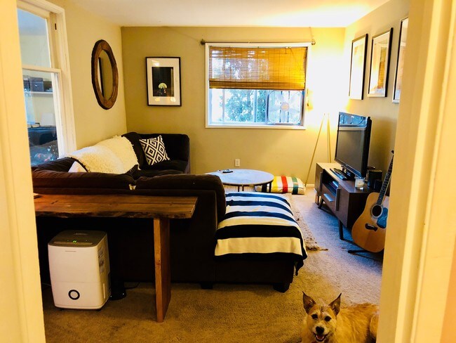 8501 wallingford ave n unit 2 seattle wa 98103 apartment for