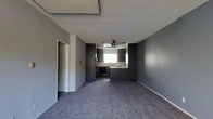This single-story space presents an open-concept layout that seamlessly connects the living area to the kitchen. The interior is finished in a consistent gray color scheme throughout, with smooth gray walls that lend a modern, cohesive aesthetic. Underfoot, gray carpet covers the living area, adding a soft, comfortable feel to the space.

The kitchen is positioned at the rear of the open floor plan and features dark cabinetry that contrasts effectively against the gray walls. A tiled backsplash adds texture to the kitchen area, while a sink sits beneath a window that allows natural light to filter into the space. A ceiling fan is mounted above the kitchen area, providing both ventilation and ambient lighting. Dark appliances, including what appears to be a dishwasher, complement the cabinetry.

The textured popcorn ceiling extends throughout the space, adding a tactile element overhead. A doorway on the left side of the living area provides access to additional rooms. The overall ambiance is neutral and functional, offering a clean, move-in-ready canvas that suits a variety of interior styles.