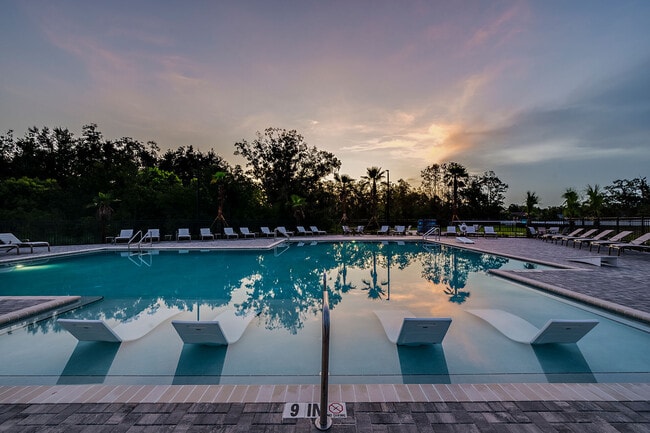 SkyMor Wesley Chapel apartments — community photo - SkyMor Wesley Chapel