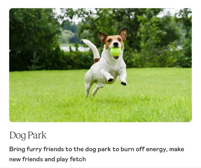 Foto del edificio - 102 Palmetto Ave