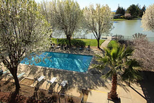 Interior Photo - Lakeshore Apartments - Lake Views!