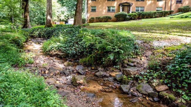 Creek on Property - 1010 Scott Blvd