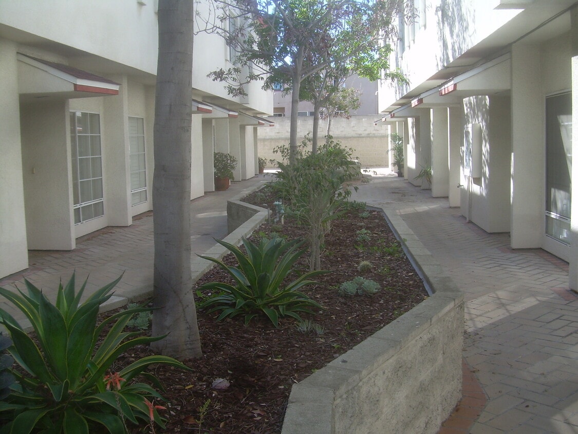 courtyard - 856 W Beach Ave
