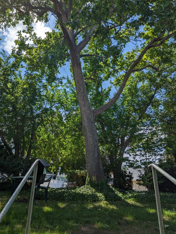 Foto del edificio - 131 W 19th Ave