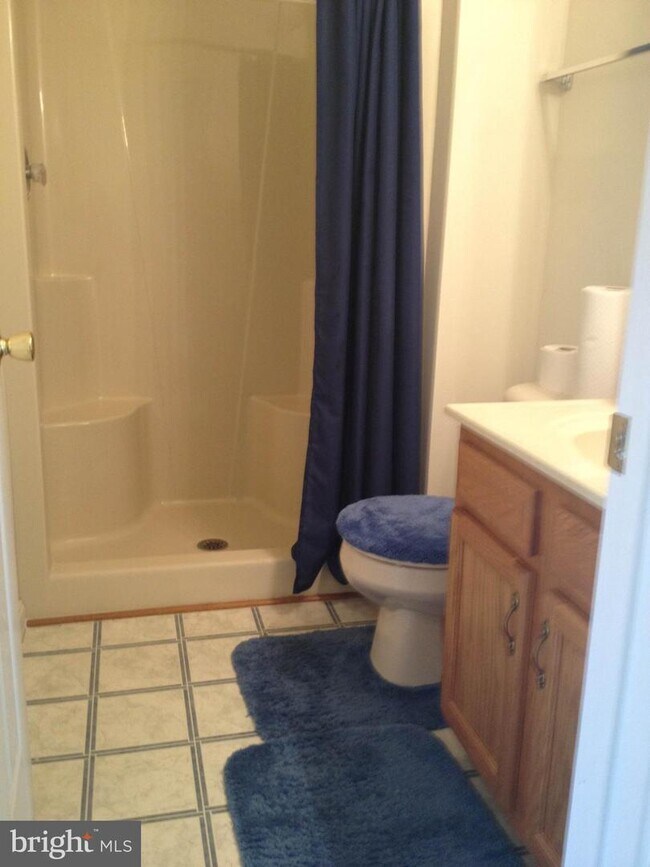 11 Hailey Ln, Strasburg, VA 22657 Apartment for Rent in Strasburg, VA