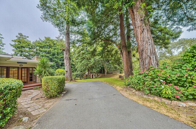 Building Photo - Three Bedroom House Plus Two Guest Units i...