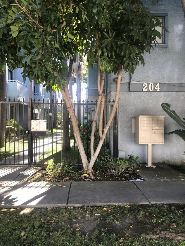 Beautiful Gated Community - 204 E Plymouth St