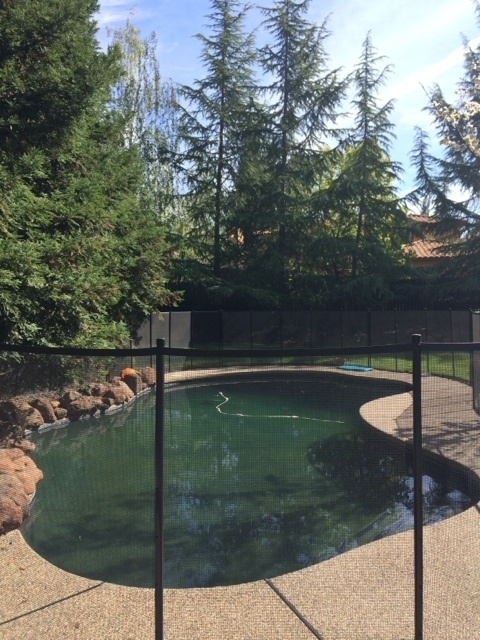 Building Photo - REDUCED Granite Bay Beauty-Pool and Inlaw ...