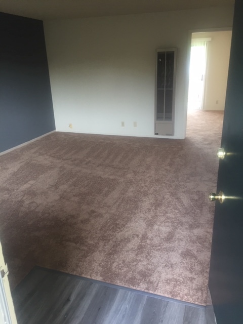 New Carpet, Complete Repaint - Del Medio Garden Apartments