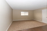 This single-floor unit at River City Place offers a straightforward, functional layout designed for comfortable everyday living. The living area is finished with wall-to-wall carpet in a neutral beige tone, complemented by warm taupe walls, white baseboards, and a textured popcorn ceiling. A wall opening with a pass-through ledge connects the living space to the kitchen, enhancing the sense of openness between the two areas. Wall-mounted sconce lighting adds a warm ambiance to the main living zone, while the entryway transitions to durable hardwood-style flooring that extends through the hallway.

The kitchen is equipped with rich, dark espresso-toned cabinetry featuring sleek bar-pull hardware, paired with speckled laminate countertops that provide ample workspace. A double-basin stainless steel sink sits beneath upper cabinets, offering practical storage throughout. A white refrigerator is visible through the pass-through opening.

The bedroom is generously proportioned, with soft carpet underfoot and a window fitted with horizontal blinds that allow natural light to filter in. The bathroom includes a full tub-shower combination, a window for natural ventilation, wood-style flooring, and a vanity with a countertop. The overall palette throughout the unit is cohesive, with neutral tones creating a calm and adaptable living environment.