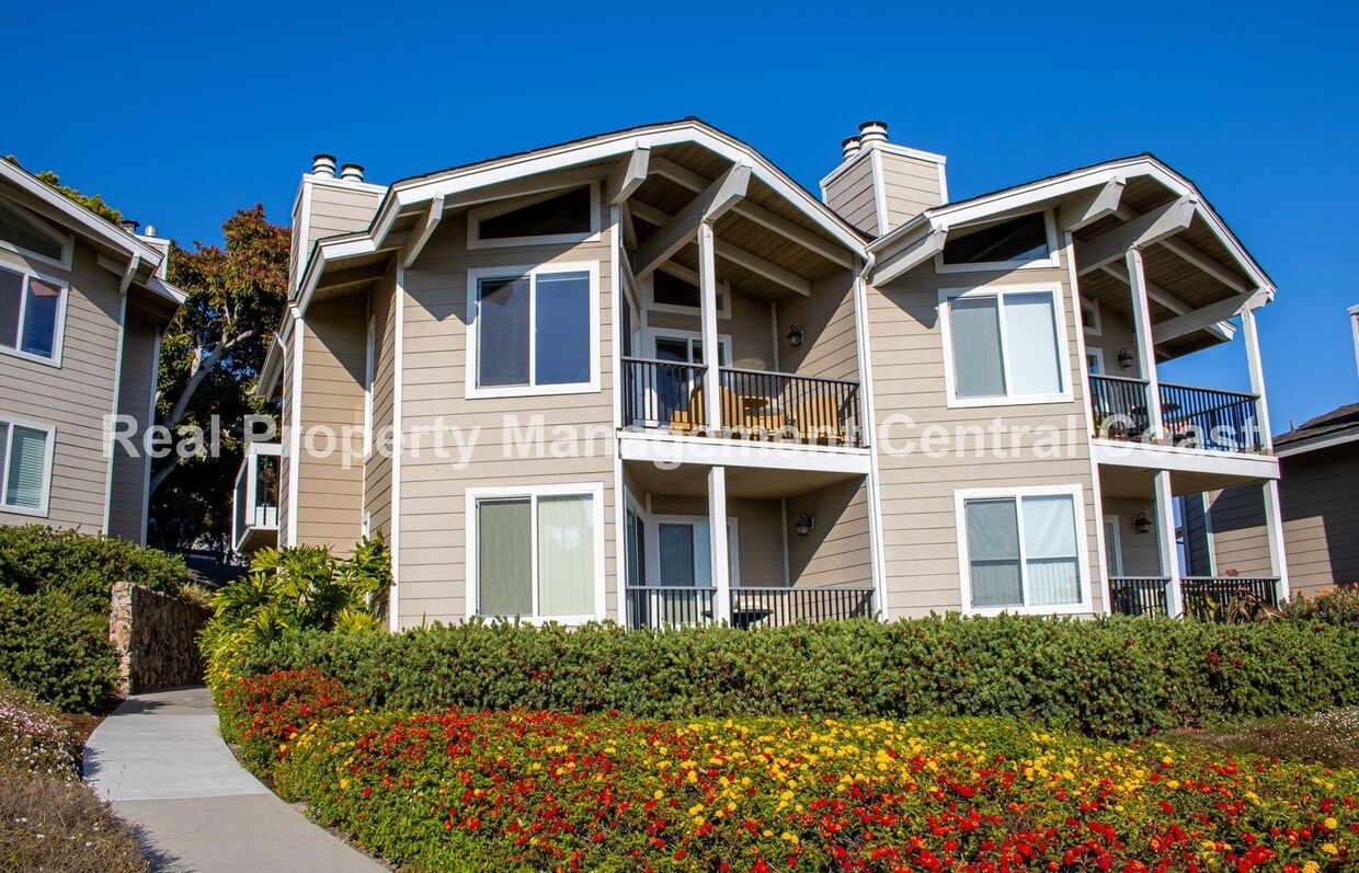 Primary Photo - AVAILABLE NOVEMBER - Beautiful Shell Beach...