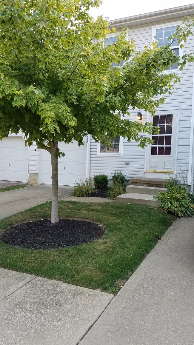 Front Entrance - 298 Ivy Ln