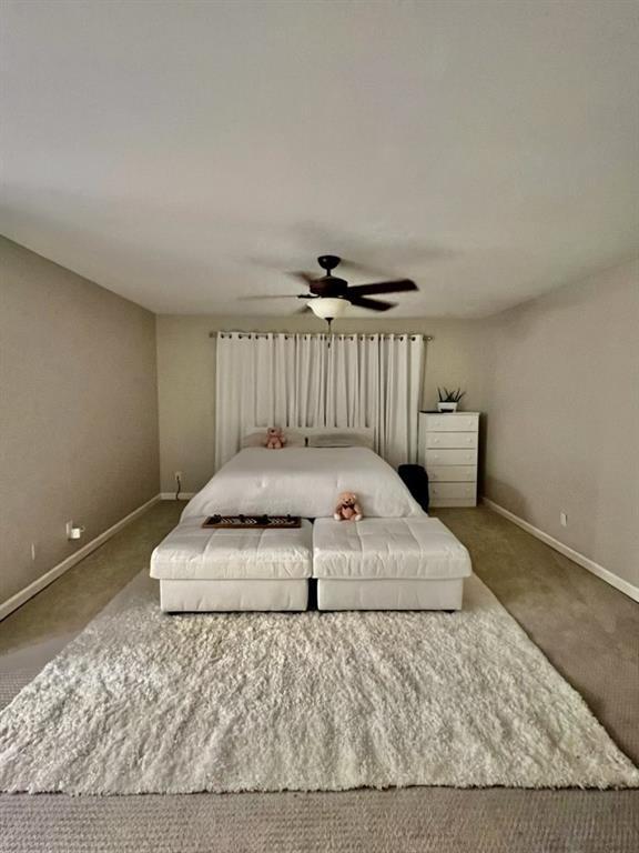 Foto del edificio - 13316 Trail Hollow Dr