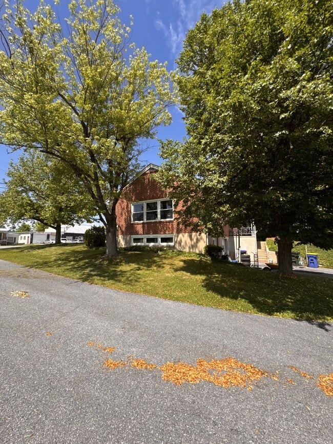 Building Photo - 10033 Jonestown Rd