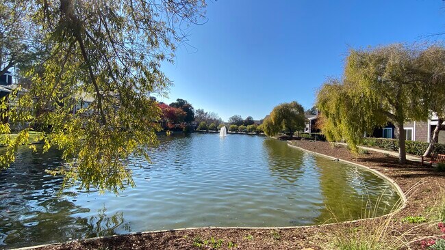 2 lakes in the gated community - 101 Marina Lakes Dr