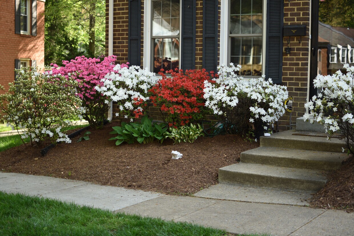 2317 Harleyford Court, Reston, VA 20191 Townhouse for Rent in Reston