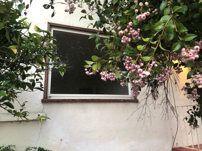 Hidden Gem - 2847 Parker Ave