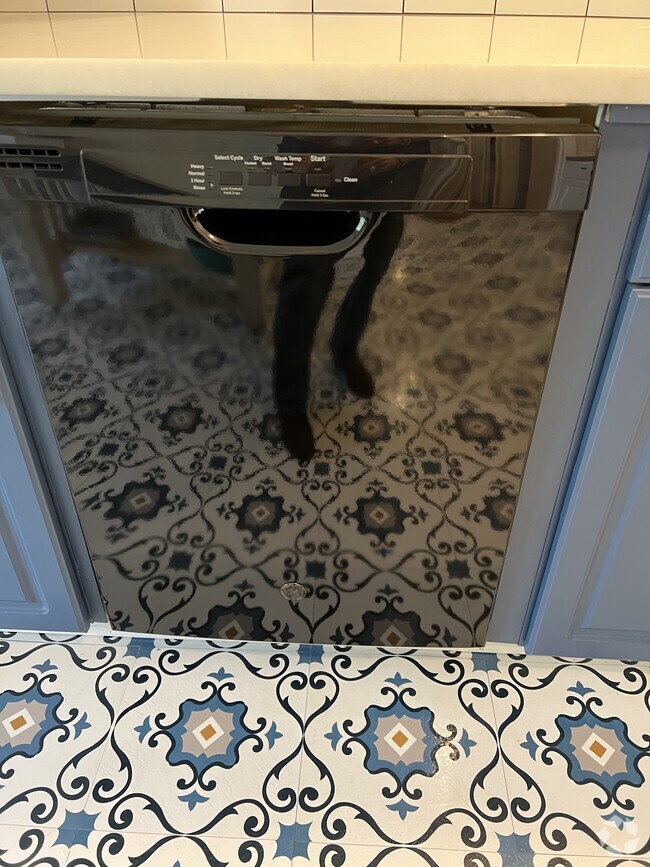 Kitchen - 203 Woodland Dr