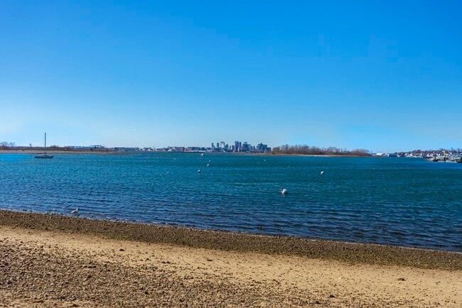 Building Photo - 789 Shirley St