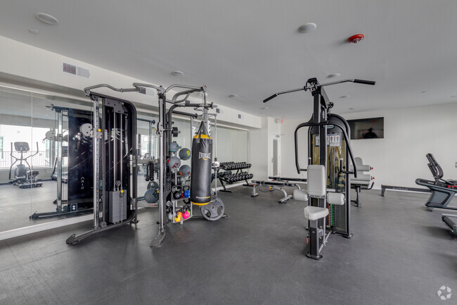 Fitness Center - The Briar