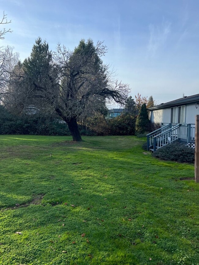 Building Photo - 1290-1290 Fruitdale Dr