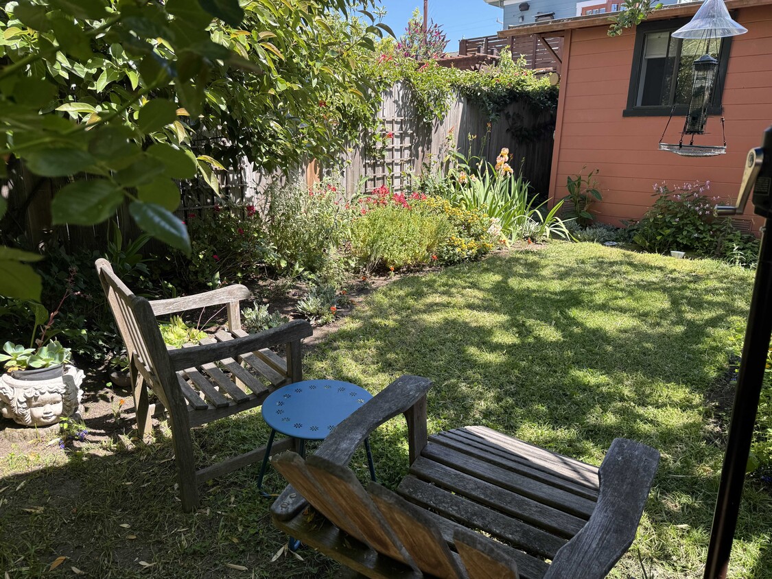 Photo - 1155 Francisco St (Berkeley, CA)