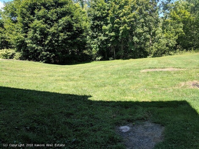 Yard - 56 Cowls Rd