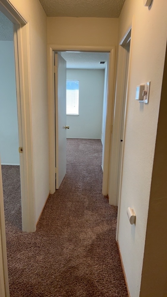 Foto del edificio - 6516 Briartree Way
