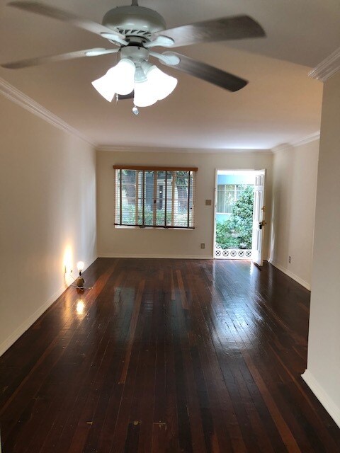 Living room - 1641 Rodney Dr