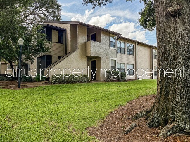 Photo - Winter Park 2/2 Condo in Charming Parkview...