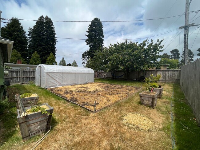 Building Photo - 3 bedroom, 1 bathroom home next to Sequoia...