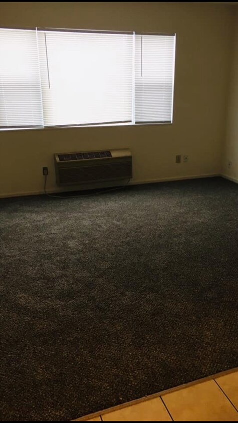 Living room - 20427 Clark St, Apt 4